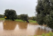 Maltempo a Monopoli, altra giornata difficile. Cia: “Gravi danni, situazione critica nelle campagne”