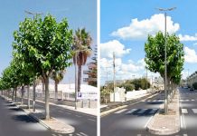 Monopoli, più verde, strade nuove e sottoservizi: con 320mila euro cambia il volto di Via Beccaria e Via Marina del Mondo