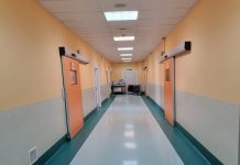 Social freezing, fino a 3mila euro di contributo per crioconservare gli ovociti e programmare una gravidanza in età più avanzata