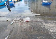 Monopoli, turista 56enne scivola al porto: in ospedale con trauma cranico e frattura della spalla